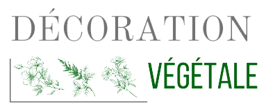 Décoration Végétale