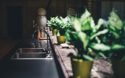 Décorez votre intérieur de manière inattendue avec des plantes